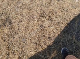 Temenos'tan Sultandağ'da Çiftlik Evi