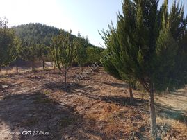 Sahibinden Hobi Bahçe