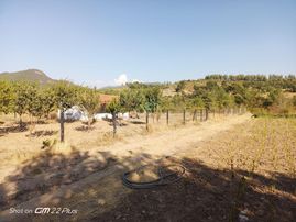 Sahibinden Hobi Bahçe