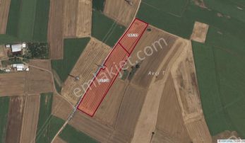 M.ereğlisi Sultanköy'de C.topel Cad. Cepheli 20 Dönüm Satılık