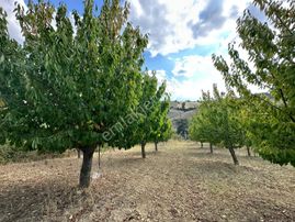 Manisa Gördeste Uygun Fiyata Yatırımlık Arazi