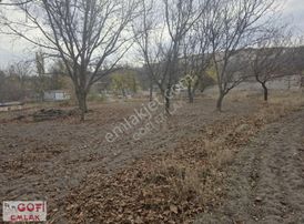 "gofi Emlak" 1850 M2 Nar Kasabasında Bahçe