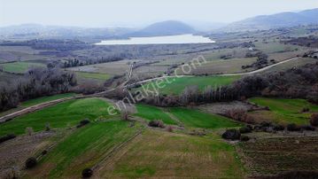 Çanakkale Biga Gürgendere Satılık Tarla Kadastro Yollu