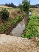 Çanakkale Biga Gürgendere Satılık Tarla Kadastro Yollu