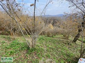 Epa Uğur'dan 2.128 M² Boğaziçi Kabalak'da Satılık Fındıklık