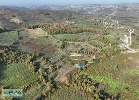 Epa Uğur'dan Çiçekpınar'da Satılık Fındık Bahçesi