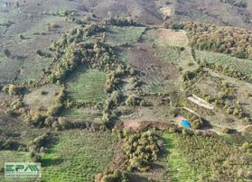 Epa Uğur'dan Çiçekpınar'da Satılık Fındık Bahçesi