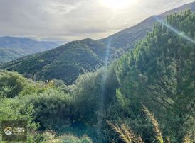 Emsalsiz Deniz Manzaralı İmar Sınırında Tek Tapu Zeytinlik