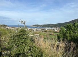 Emsalsiz Deniz Manzaralı İmar Sınırında Tek Tapu Zeytinlik