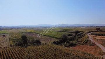 Atköy Mahallesinde Satılık Tarla