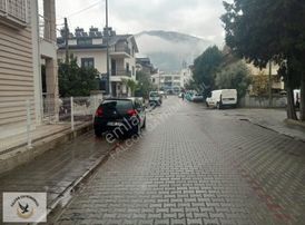 Falcon Dan Patlangıç Ta 310m²fırsat Arsa