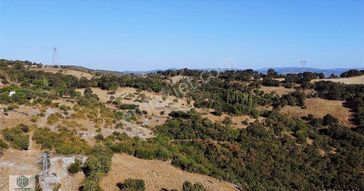 Balıkesir Savaştepe İlçesi Akpınar Köy İçinde 2198m2 Tarla