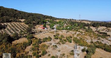 Balıkesir Savaştepe İlçesi Akpınar Köy İçinde 2198m2 Tarla