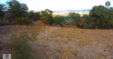 Söğütlü Köyünde İmarlı 406 M2 Ve 899 M2 Satılık Arsa Ve Tarla