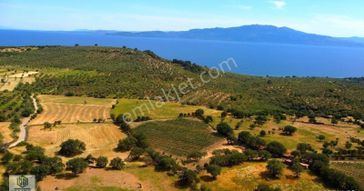 Ayvacık Korubaşı Köyünde Resmi Yolu Olan Deniz Manzaralı Tarla