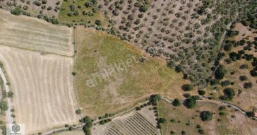 Ayvacık Korubaşı Köyünde Resmi Yolu Olan Deniz Manzaralı Tarla