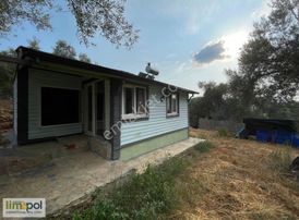 Limopol'den Müstakil Eşyalı Uzun Dönem Kiralık