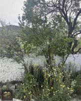 Yukarı Şakran Köyü Müstakil 2+1 Kiralık Ev