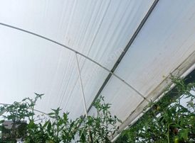 Joymax Gayrimenkul'den Burdur Gölhisar Yusufçada Satılık Tarla