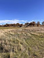 Banaz Uygun 2336m2 Yakın Yolu Olan Tarla