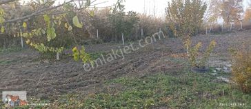 Çelik Yapı Emlak Dan 3.800 Metrekare Tarla İçerisinde Bağ Evi