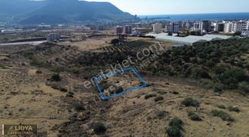 359 M2 Müstakil Tapu Arsa