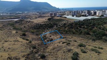 359 M2 Müstakil Tapu Arsa