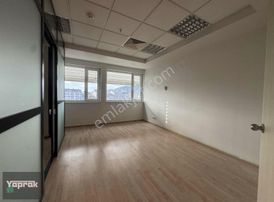 İzmit Dolphin Alış Veriş Merkezinde 2+1 Kiralık Ofis