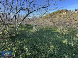 Vip Real Estate Arsin Dilek Mah. Satılık 1.940m2 Arsa