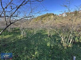 Vip Real Estate Arsin Dilek Mah. Satılık 1.940m2 Arsa