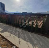 Özgün Gm'den - Noran Elysıum'da Kiralık 4+1 Daire