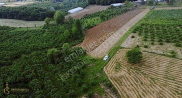 Haftasonu Kafa Dinlemek İsteyen İçin Kaçırılmaz Fırsat