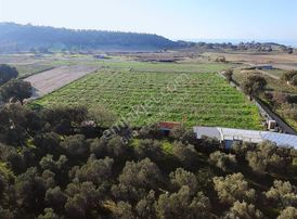 Alemşahta Fırsat Her Detayı Düşünülmüş Eksiksiz Meyve Bahçesi