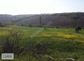 Susurluk Babaköy' De 28500 M2 Satılık Tarla