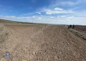 Gölbaşı Günalan'da Yol Kenarı Satılık Tarla