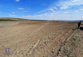 Gölbaşı Günalan'da Yol Kenarı Satılık Tarla