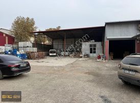 Odun Ambarlarında Kiralık 948 M2 Kiralık Dükkan