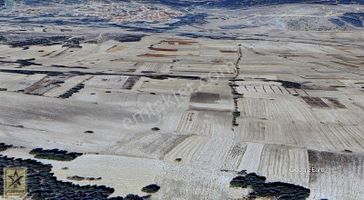 Seçkin Bir Yatırım Fırsatı :geleceğin Değerini Şimdi Sahiplenin.