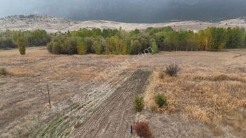 “toprak Her Zaman İyidir. Fiyatlar Uçmadan Sen De Yerini Al!”