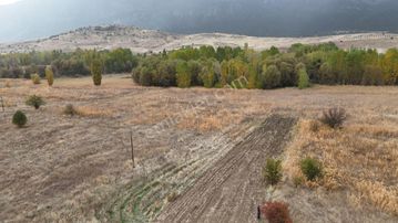 “toprak Her Zaman İyidir. Fiyatlar Uçmadan Sen De Yerini Al!”