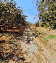 Fındık Bahçesi Ve İmarlı Arsa Yatırım Fırsatı