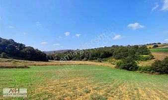 Adapazarı Küçükhataplıda 1248m2 Yatırımlık Fırsat Tarla
