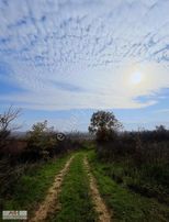 Geyve Alifuatpaşa Da 432 M2 İmarlı Yatırımlık Arsa