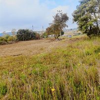 Tarcanlar'dan Satılık Kaşıkçı'da Yola Cephe 4113 Metre Tarla