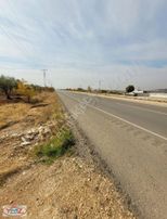 Ymz Gayrimenkulden Fırsat Bağ Evlik Zeytinlik