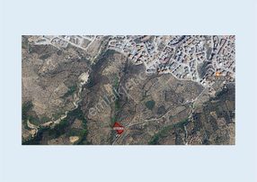 Halitpaşa Da Yola Cephe Full Deniz Manzaralı Zeytinlik