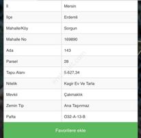 Sahibinden Yetişmiş Bahçe Ve Ev