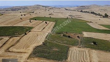 Balıkesir Şamlıda 3.250m² Yatırımlık Tarla