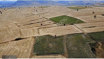 Balıkesir Şamlıda 3.250m² Yatırımlık Tarla