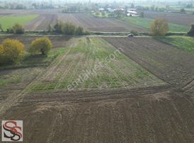 Adapazarı Abalı Mahallesinde 3,304 M² Yatırıma Uygun Tarla